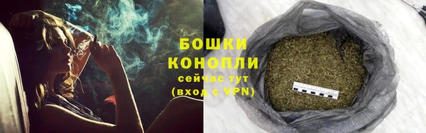 PSILOCYBIN Волоколамск